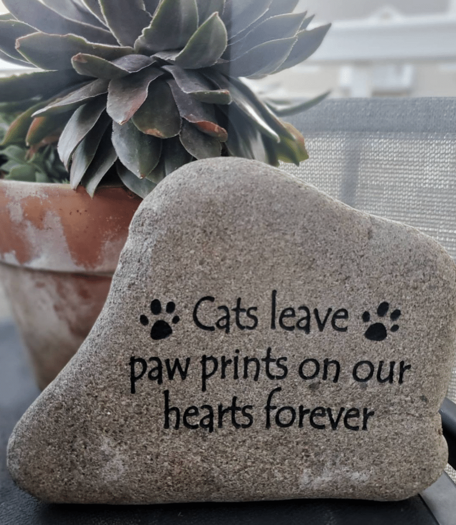 Gray engraved stone in front of a plant that has text, Cats leave paw prints on our hearts forever