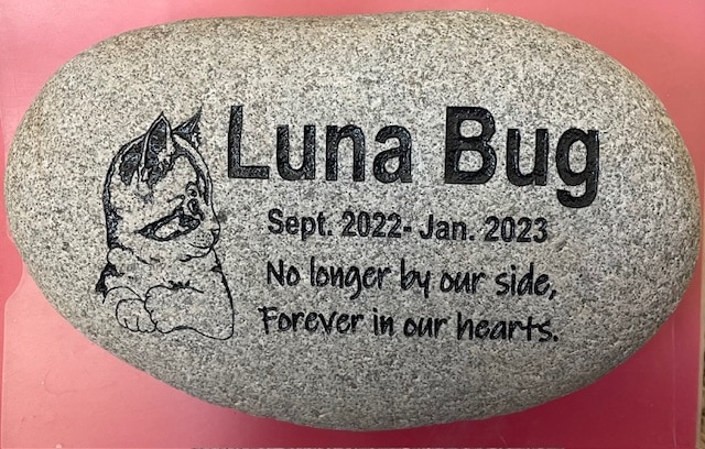 Engraved pet memorial that says Luna Bug Sept. 2022 - Jun. 2023 No loner by our side, forever in our hearts