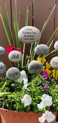 Potted plant with many engraved rocks mounted on rods poking our of the plant with family members names on them