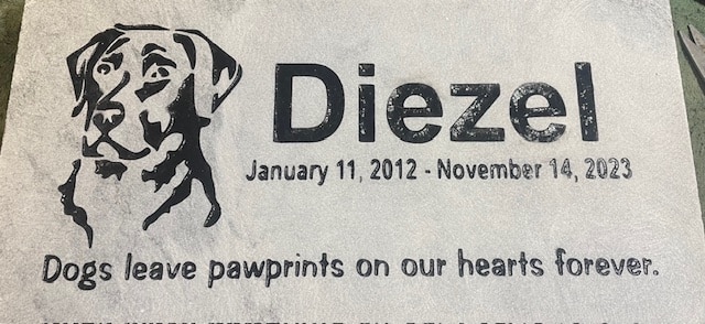 Engraved pet memorial that says Diezel, January 11, 2012 - November 14, 2023 Dogs leave pawprints on our hearts forever.