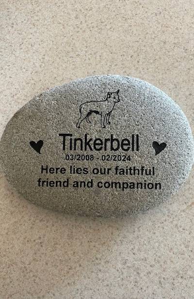 Pet Memorial with graphic of a cat with text, Tinkerbell 03/2008 - 02/20/24 Here lies our faithful friend and companion
