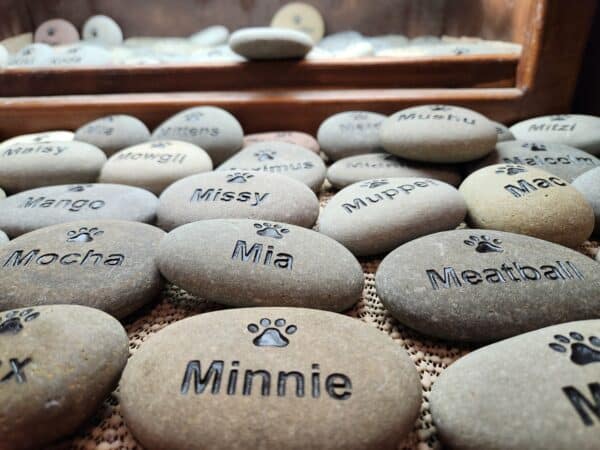 GOC Engraved Pet Stones beginning with the letter M