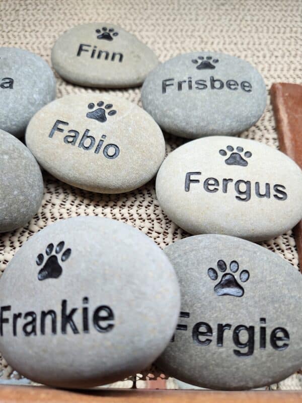 GOC Engraved Pet Stones beginning with the letter M