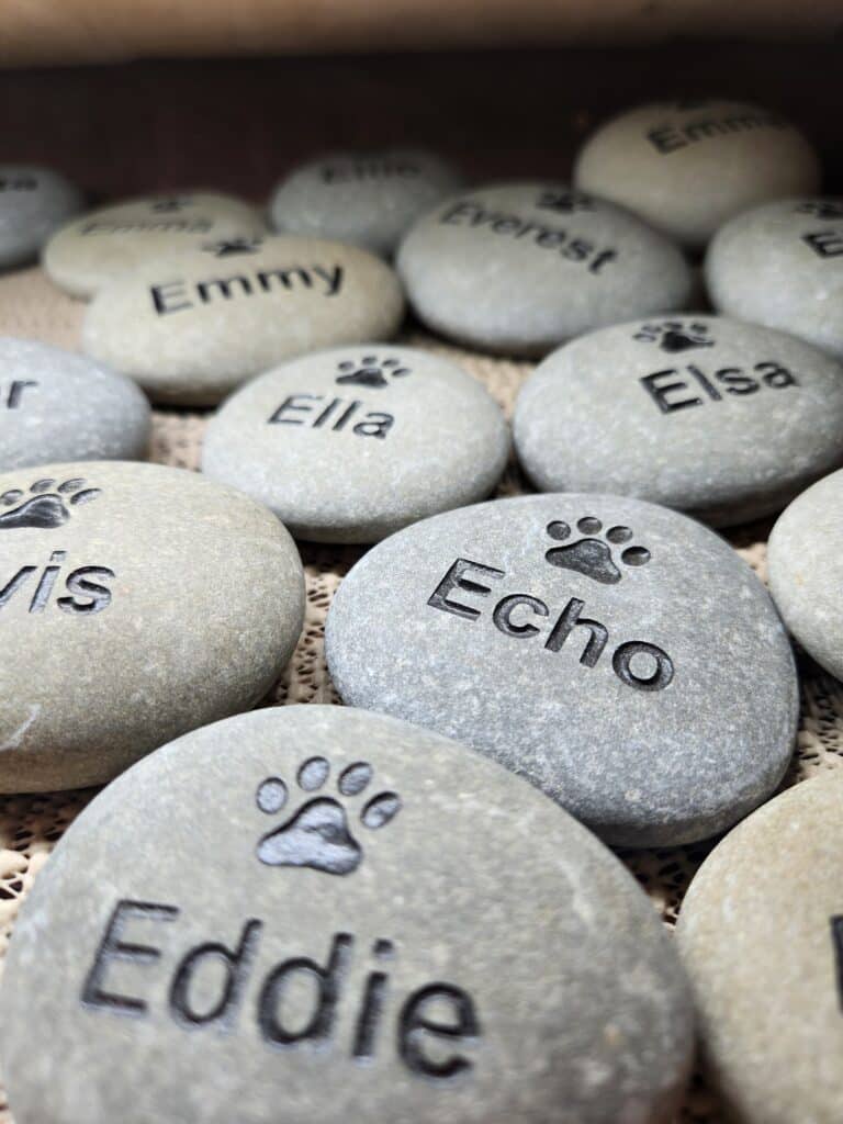 Engraved pet stones beginning with the letter E