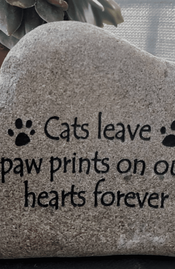 Engraved stone that says Cats leave paw prints on our hearts forever with pawprint graphics to the right and left of the text