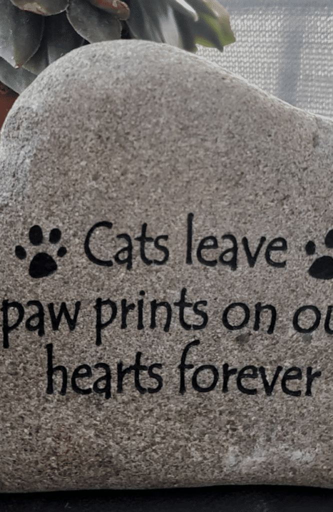 Engraved stone that says Cats leave paw prints on our hearts forever with pawprint graphics to the right and left of the text