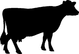 SAA0009