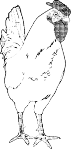 SAA0027