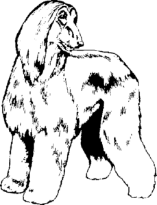 SAA0101