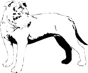 SAA0112