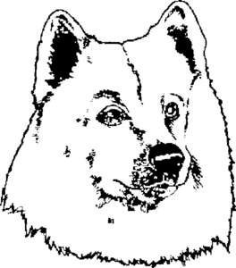 SAA0126