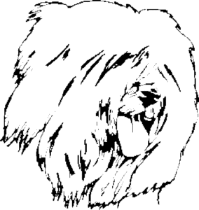 SAA0133