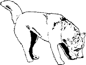 SAA0140-1