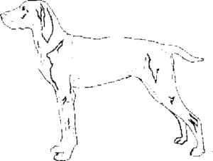 SAA0148
