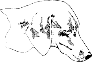SAA0149