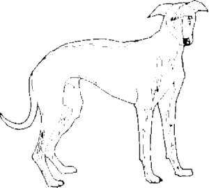 SAA0153