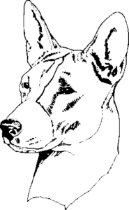 SAA0158