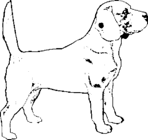 SAA0162