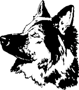 SAA0163