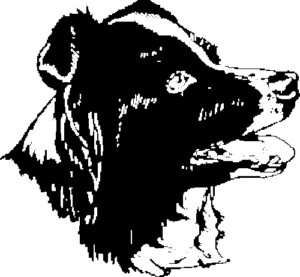 SAA0169