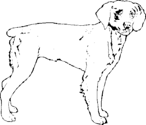 SAA0174