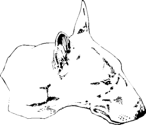 SAA0176