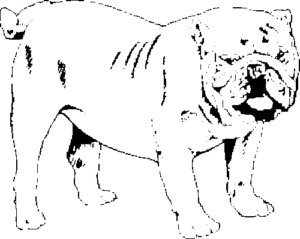 SAA0177