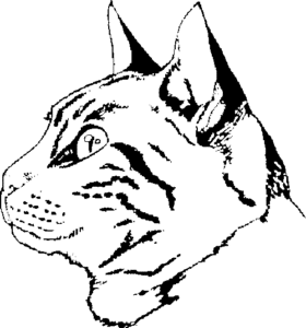 SAA0182