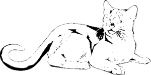 SAA0186