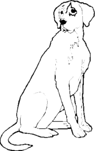 SAA0193
