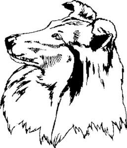 SAA0196
