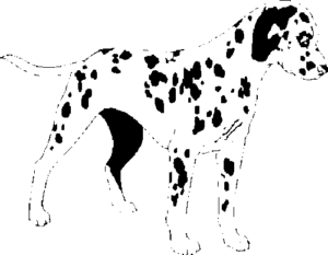 SAA0199