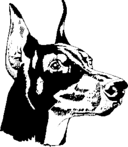 SAA0202