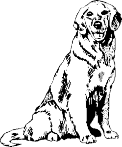 SAA0212