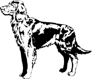 SAA0219-1