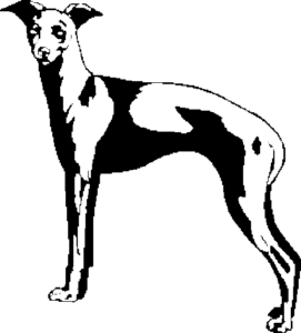 SAA0220-1