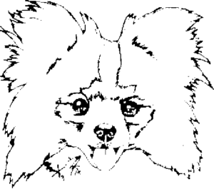 SAA0243