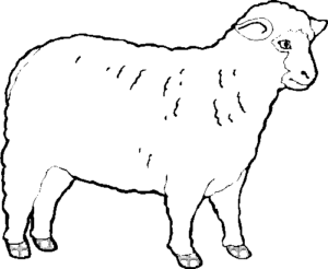 SAA0600