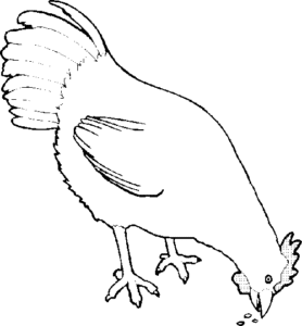 SAA0604