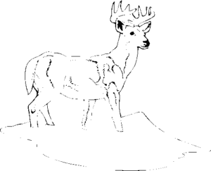 SAA0967
