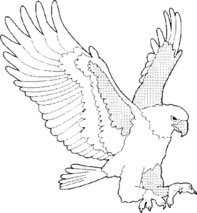 SAA1517